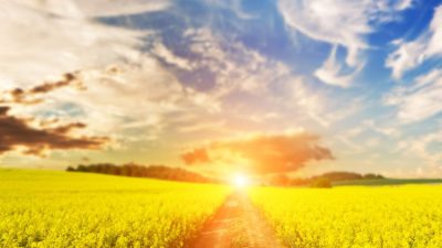 Три главных правила в жизни