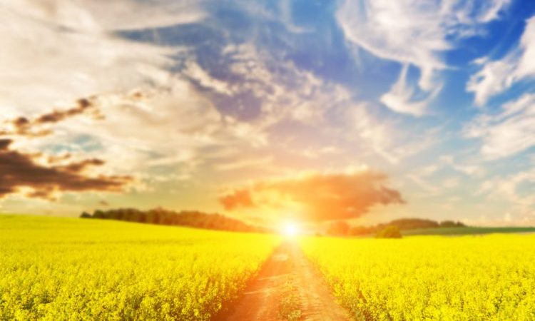 Познайте другой мышление, и вы увидите мир по-новому. Фото: Michal Bednarek via Dreamstime | Epoch Times Россия