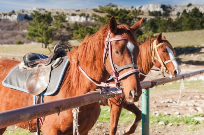 Три главных правила в жизни