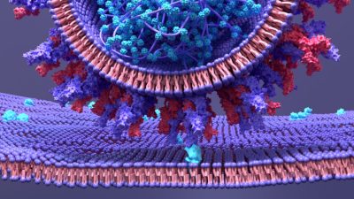 Поствакцинальные повреждения — это синдром, а не болезнь. Медики рассказали, как его лечить