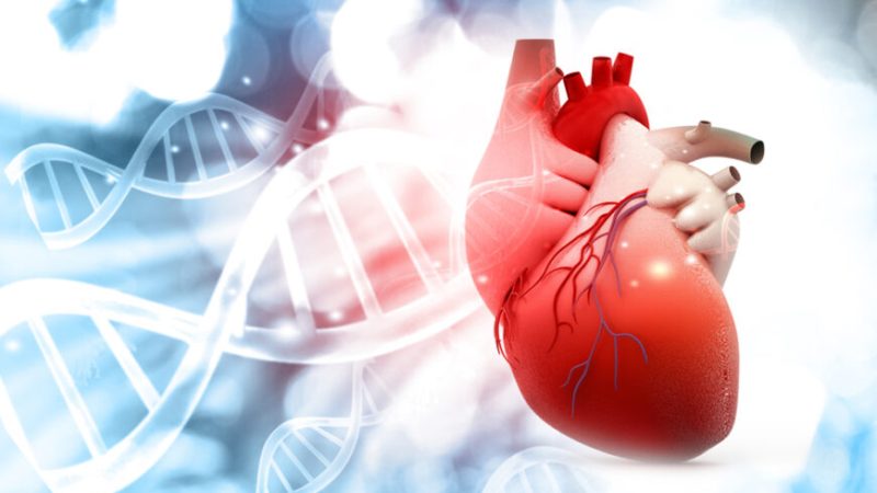 Фото: shutterstock.com | Epoch Times Россия