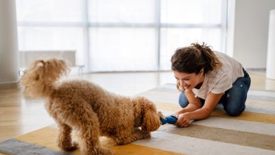 Беспокойная собака? Просто научитесь с ней играть