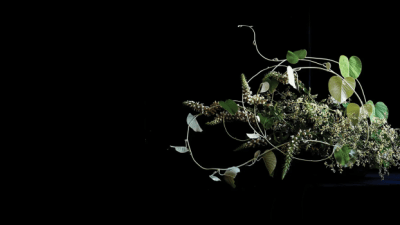 Уникальный подход к аранжировке цветов