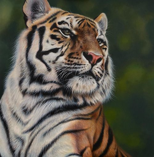 Художница из Великобритании изображает на гигантских холстах невероятных львов и тигров