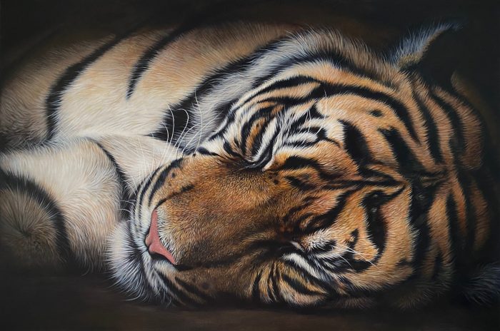 Художница из Великобритании изображает на гигантских холстах невероятных львов и тигров