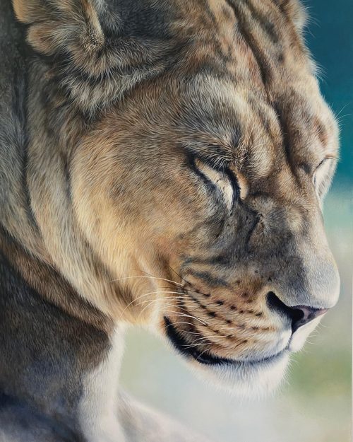 Художница из Великобритании изображает на гигантских холстах невероятных львов и тигров