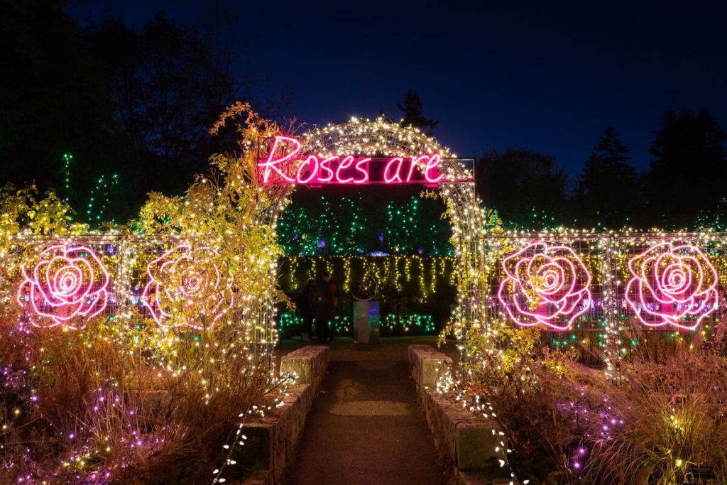Великолепные новогодние световые инсталляции в городах мира