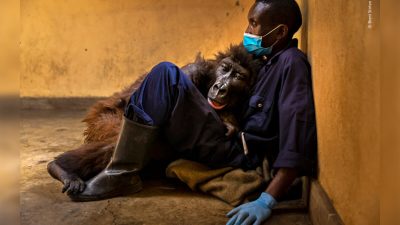 Фотографии победителей конкурса «Фотограф года дикой природы 2022»