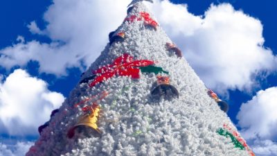 Главная новогодняя красавица страны скоро займёт своё место на Соборной площади Кремля