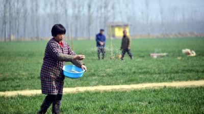 Сельские жители Китая сталкиваются с нехваткой лекарств из-за вспышки пандемии