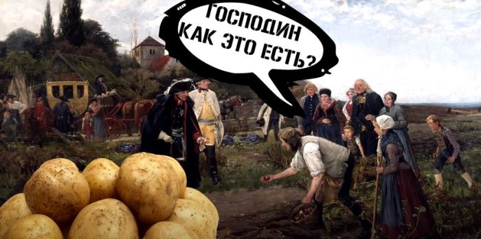 Посадил дед репку, да «ноги» подвели!