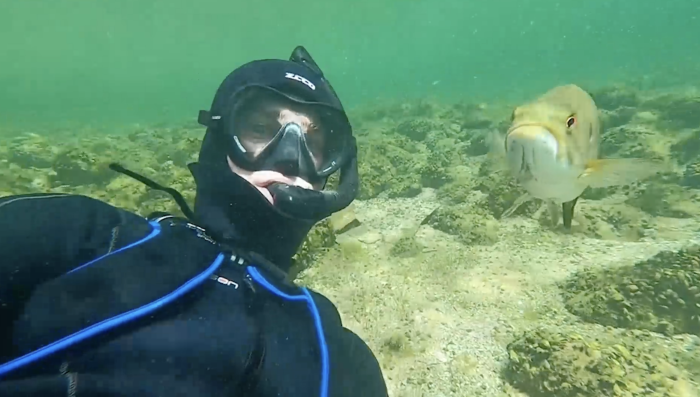 Дайвер каждое лето проведывает своего друга окуня, и тот его узнаёт