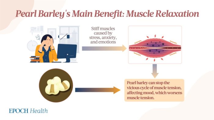 Традиционная китайская медицина о пользе жемчужного ячменя и рецептах приготовления