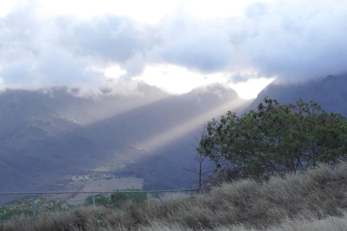 Фотообзор разрушенного пожаром гавайского города Лахайна Фотообзор разрушенного пожаром гавайского города Лахайна